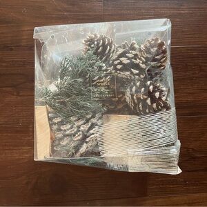 🔥CLOSET CLEAR OUT!🔥NEW Pottery Barn Winter Spruce Potpourri